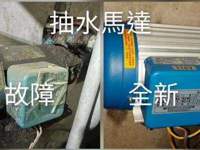 楊裕麒